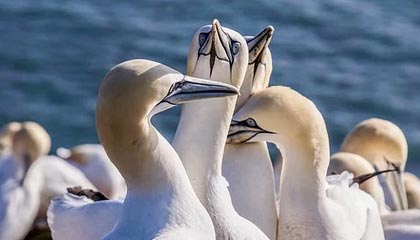 足球比分-网页版登录入口：开启高效工作的新起点